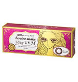 �q���C�����C�N1day�t�u �M